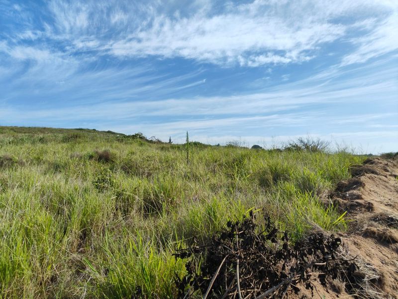 Seaton Estate: Exclusive Coastal Living on the KZN North Coast - Photo 3