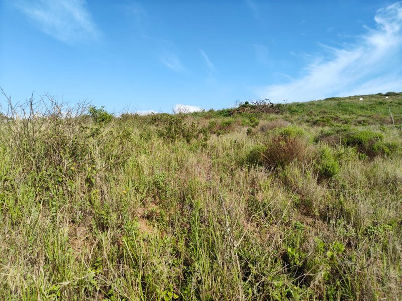 Seaton Estate: Exclusive Coastal Living on the KZN North Coast - Photo 9