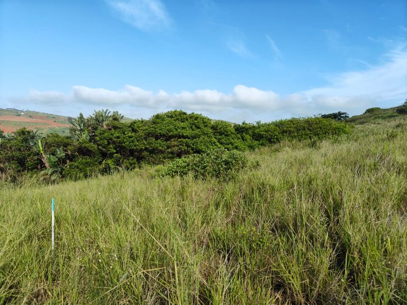 Seaton Estate: Exclusive Coastal Living on the KZN North Coast - Photo 8