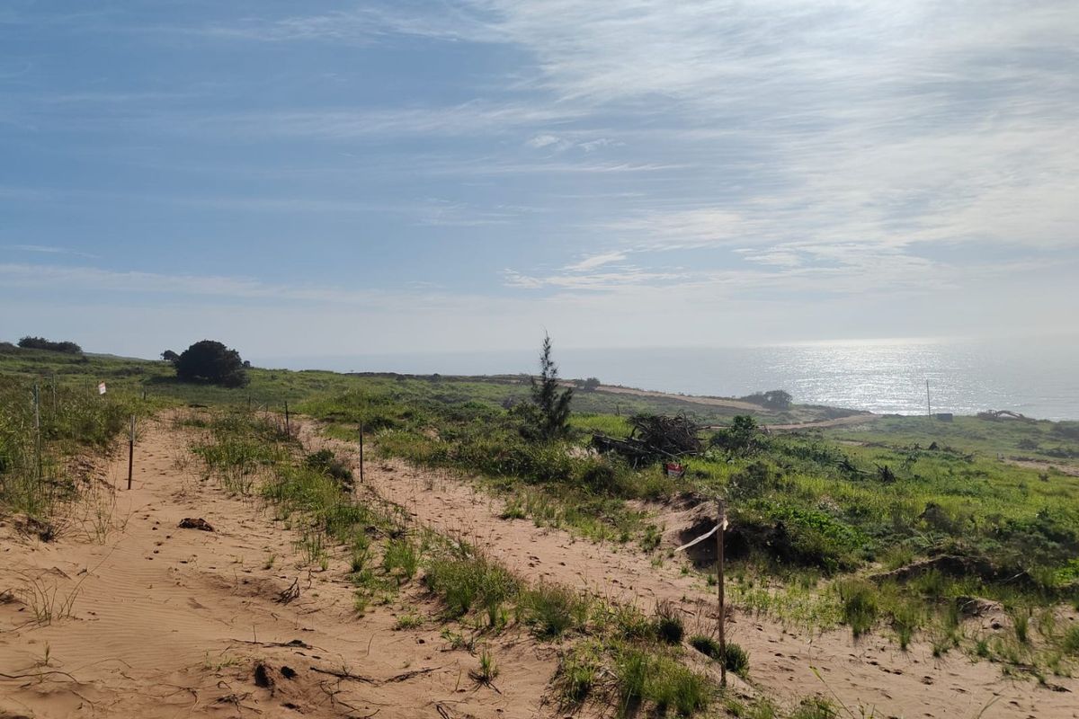 Seaton Estate: Exclusive Coastal Living on the KZN North Coast - Photo 3