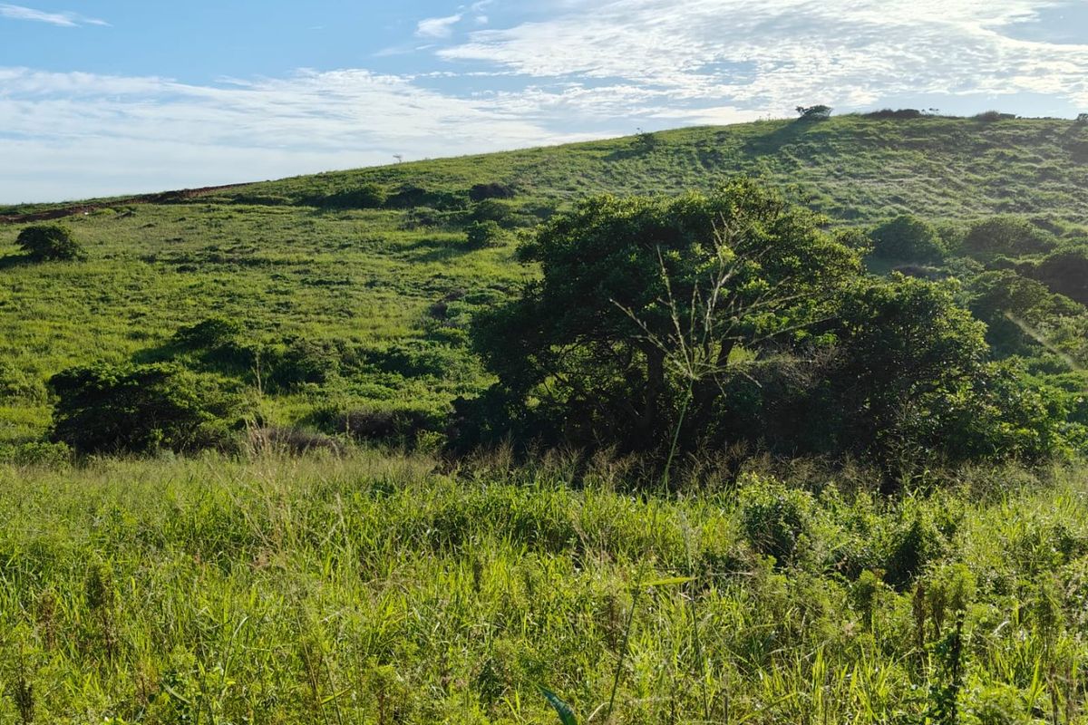 Seaton Estate: Exclusive Coastal Living on the KZN North Coast - Photo 4