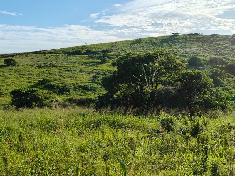 Seaton Estate: Exclusive Coastal Living on the KZN North Coast - Photo 4