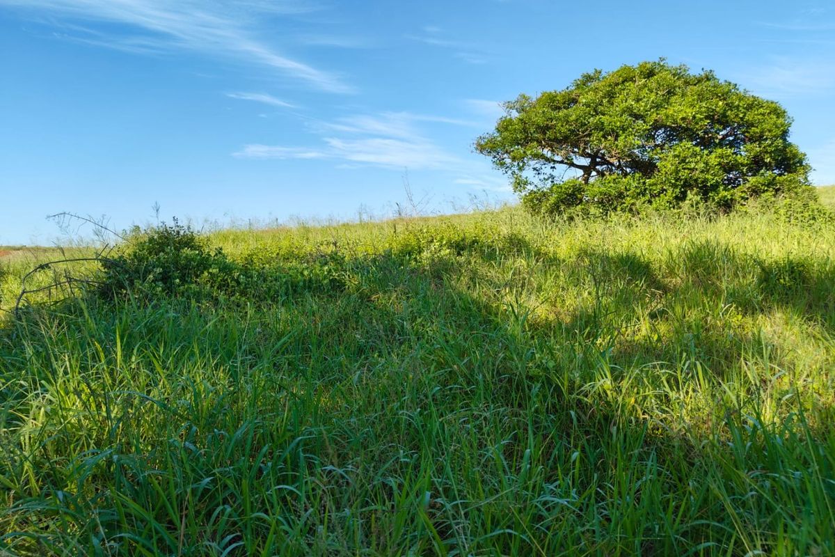 Seaton Estate: Exclusive Coastal Living on the KZN North Coast - Photo 4