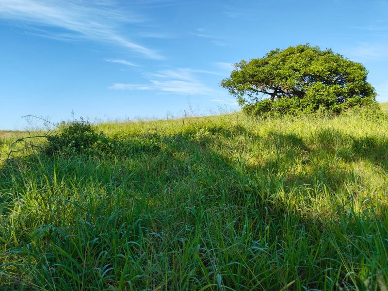 Seaton Estate: Exclusive Coastal Living on the KZN North Coast - Photo 4