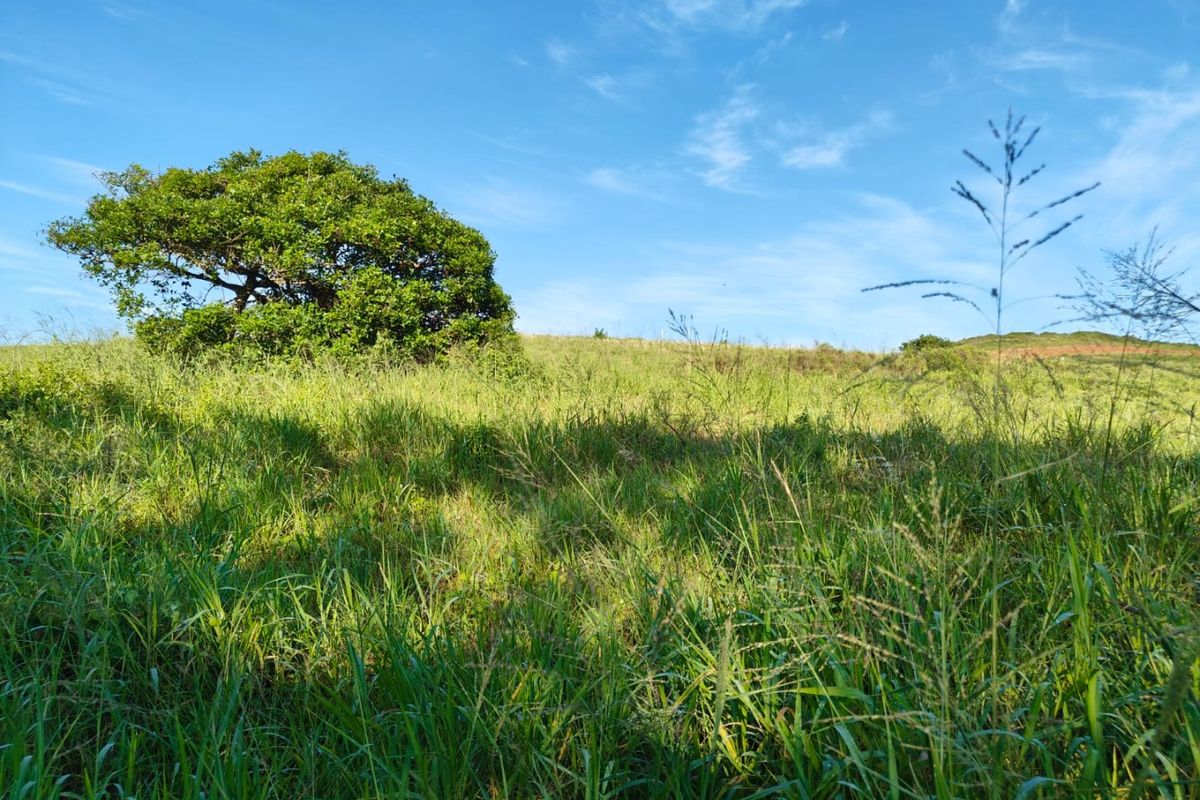 Seaton Estate: Exclusive Coastal Living on the KZN North Coast - Photo 2