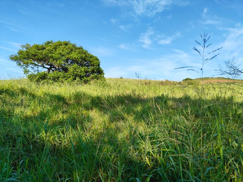 Seaton Estate: Exclusive Coastal Living on the KZN North Coast - Photo 2