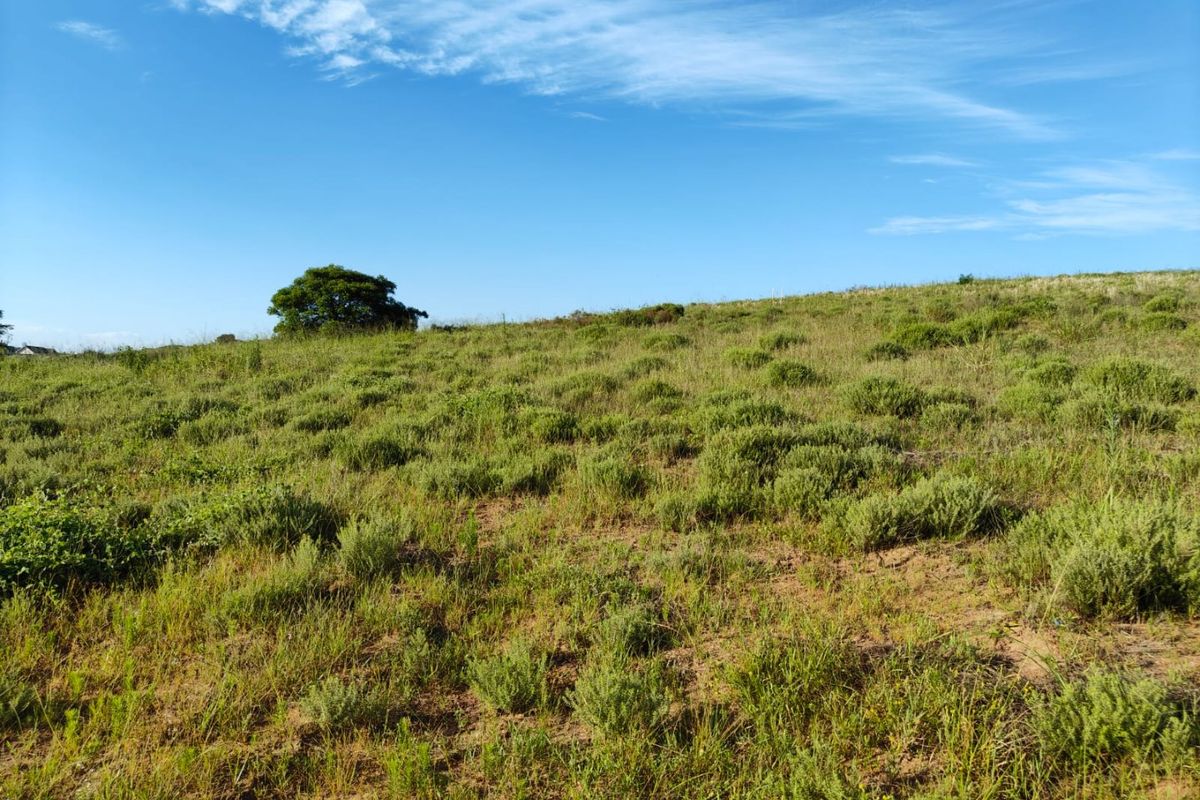 Seaton Estate: Exclusive Coastal Living on the KZN North Coast - Photo 4