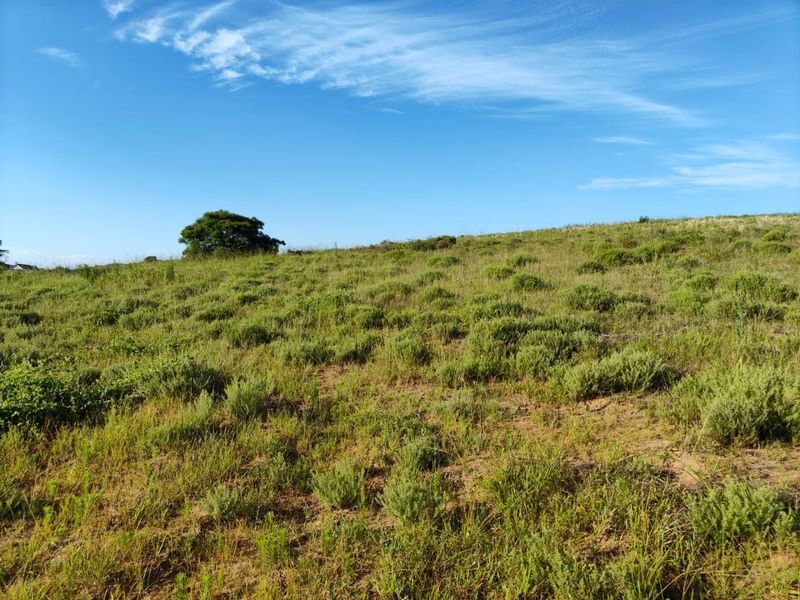 Seaton Estate: Exclusive Coastal Living on the KZN North Coast - Photo 4