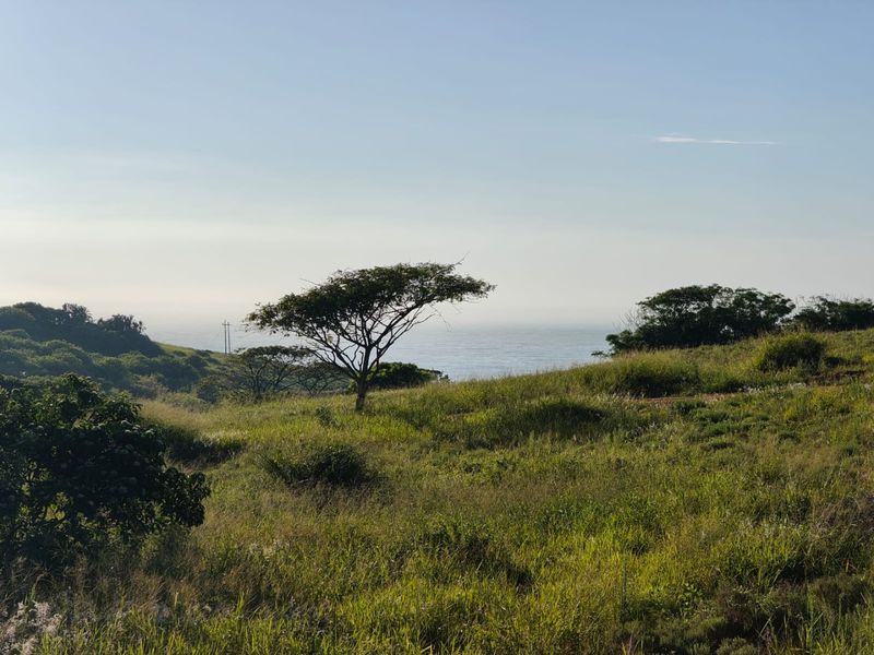 Seaton Estate: Exclusive Coastal Living on the KZN North Coast - Photo 4