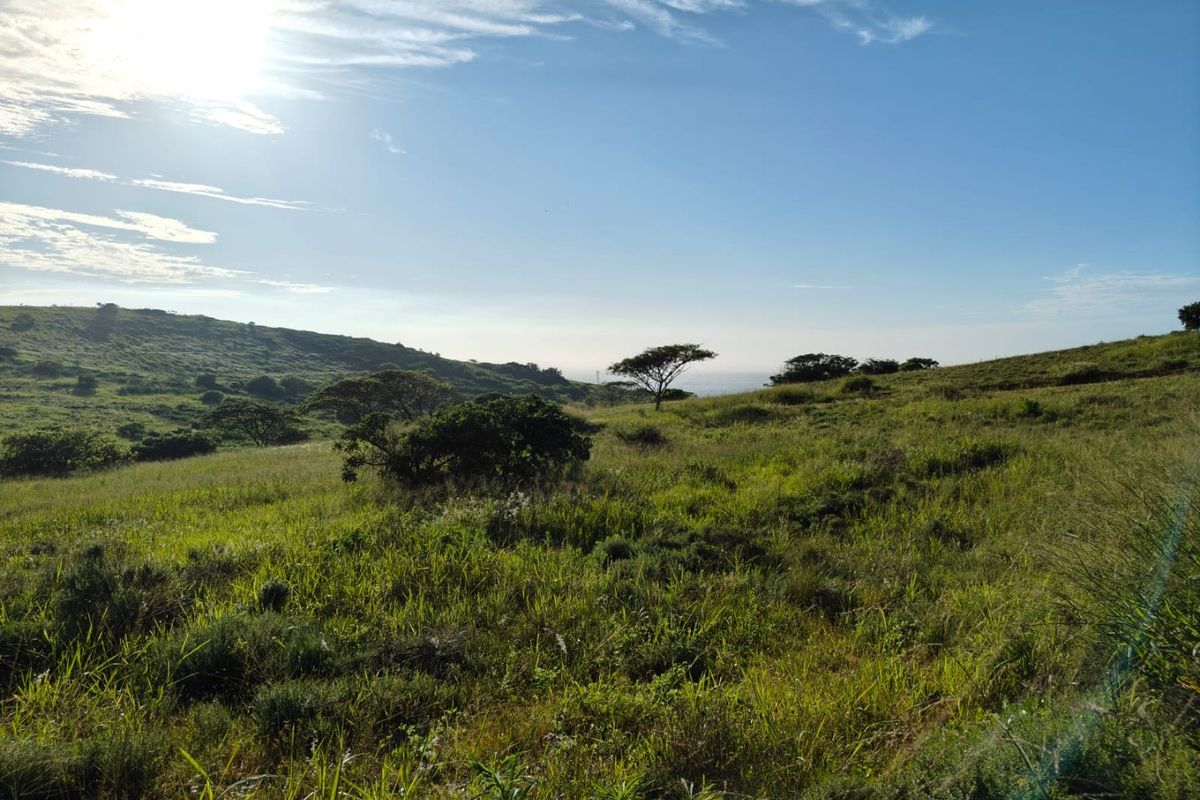 Seaton Estate: Exclusive Coastal Living on the KZN North Coast - Photo 2