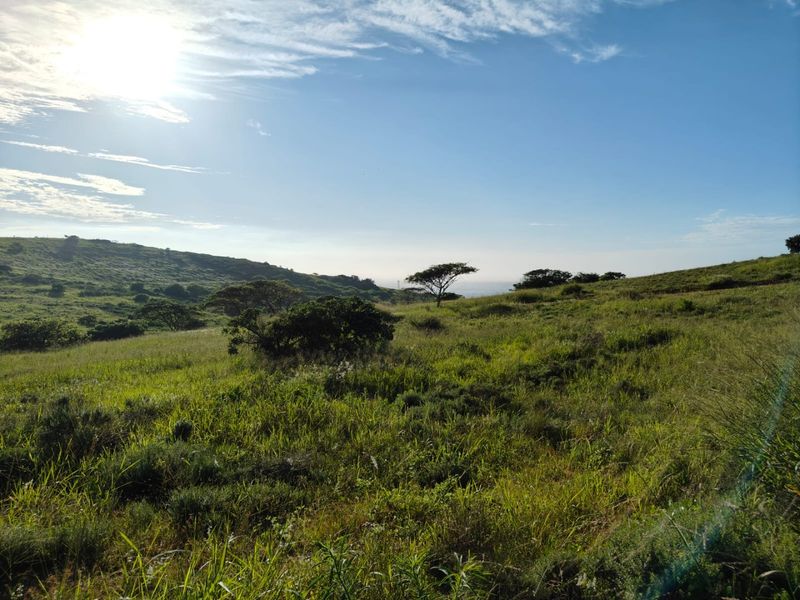 Seaton Estate: Exclusive Coastal Living on the KZN North Coast - Photo 2