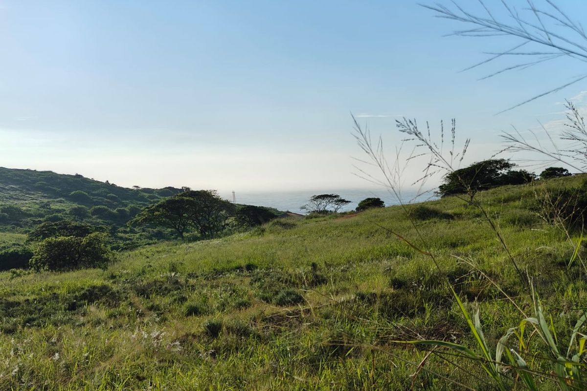 Seaton Estate: Exclusive Coastal Living on the KZN North Coast - Photo 4