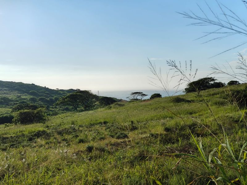 Seaton Estate: Exclusive Coastal Living on the KZN North Coast - Photo 4