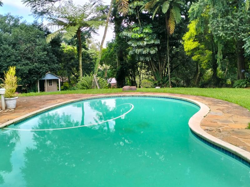 A backyard swimming pool area featuring stone paving, a surrounding lawn, and mature garden landscaping with a small storage shed.