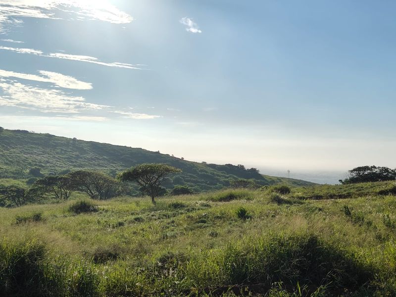 Seaton Estate: Exclusive Coastal Living on the KZN North Coast - Photo 4