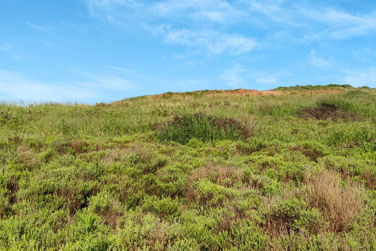 Seaton Estate: Exclusive Coastal Living on the KZN North Coast - Photo 3