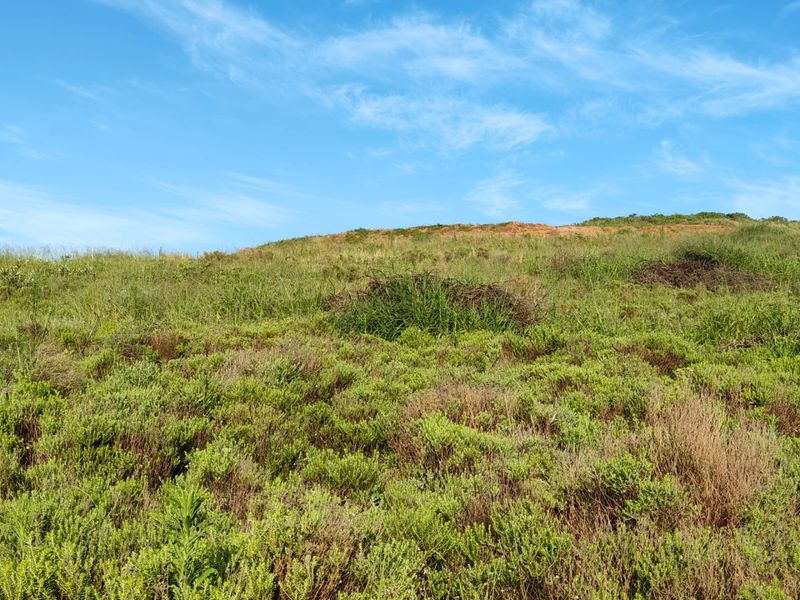 Seaton Estate: Exclusive Coastal Living on the KZN North Coast - Photo 3