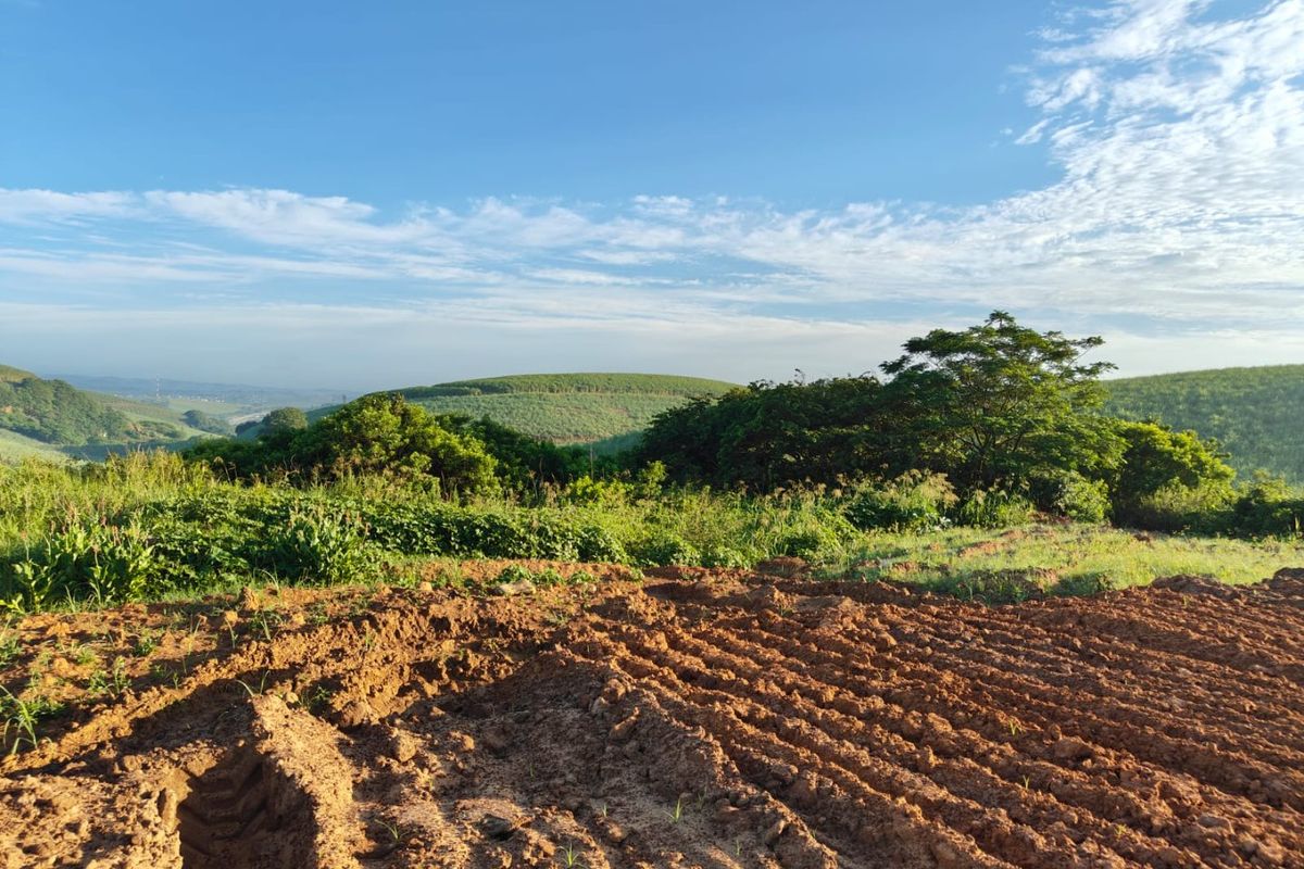 Seaton Estate: Exclusive Coastal Living on the KZN North Coast - Photo 2