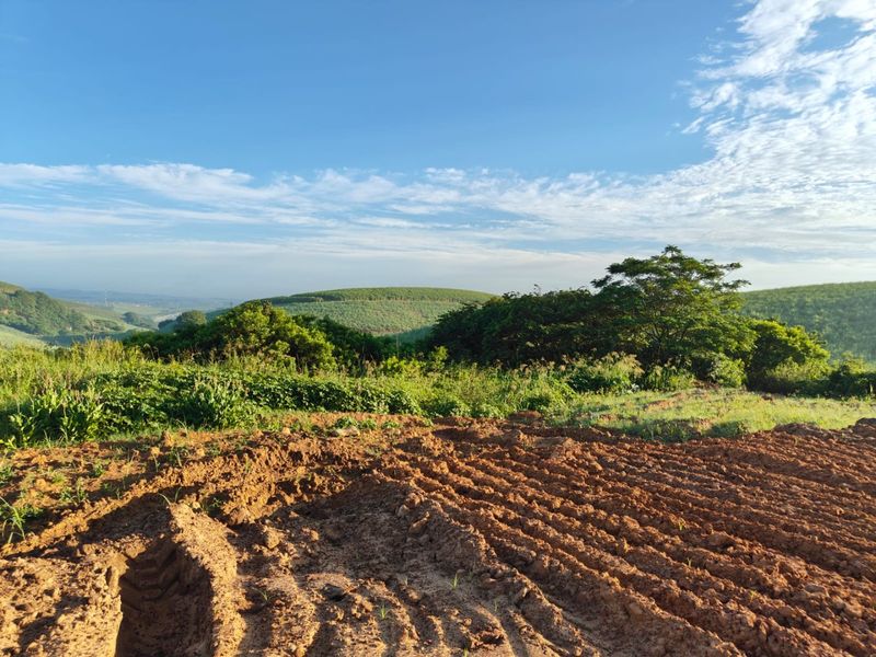 Seaton Estate: Exclusive Coastal Living on the KZN North Coast - Photo 2
