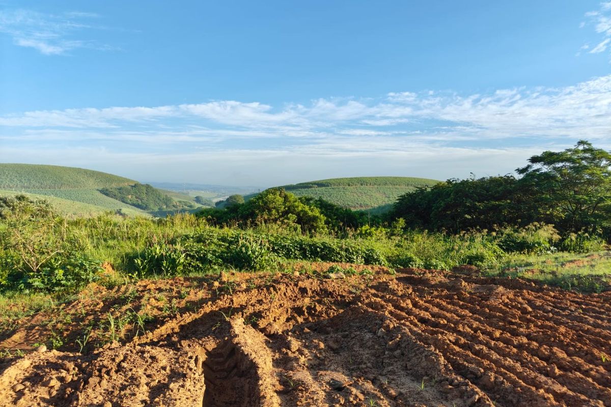 Seaton Estate: Exclusive Coastal Living on the KZN North Coast - Photo 4