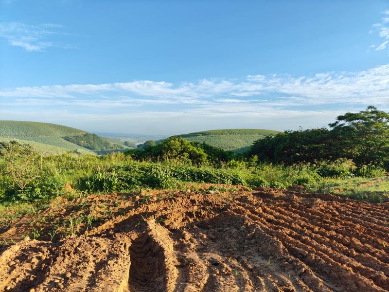 Seaton Estate: Exclusive Coastal Living on the KZN North Coast - Photo 4