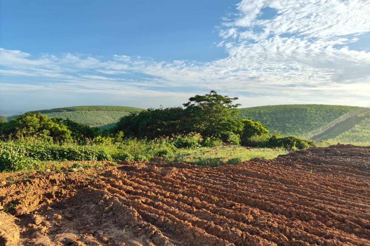 Seaton Estate: Exclusive Coastal Living on the KZN North Coast - Photo 3