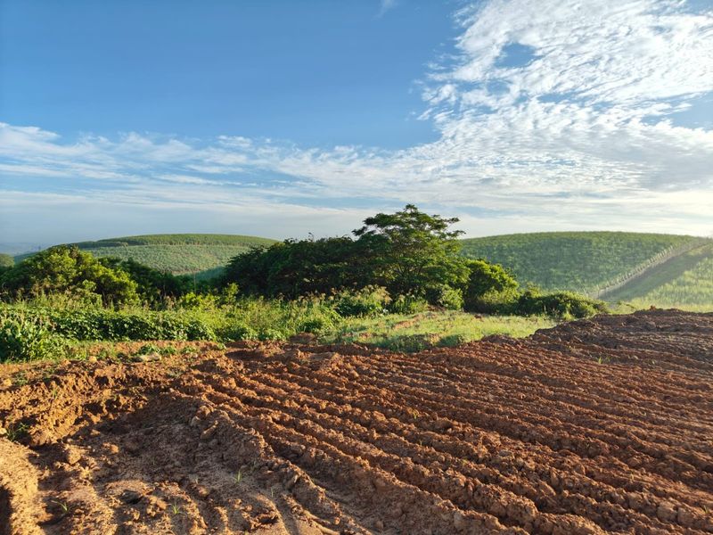 Seaton Estate: Exclusive Coastal Living on the KZN North Coast - Photo 3