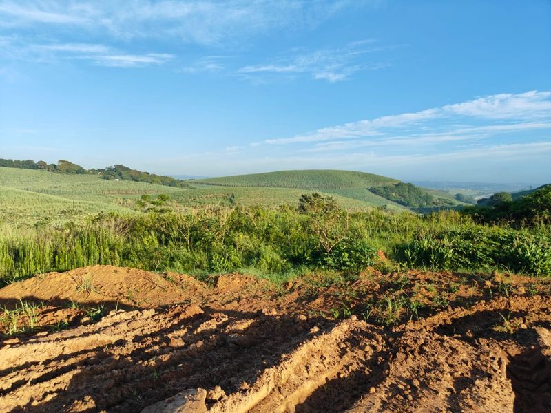 Seaton Estate: Exclusive Coastal Living on the KZN North Coast - Photo 3