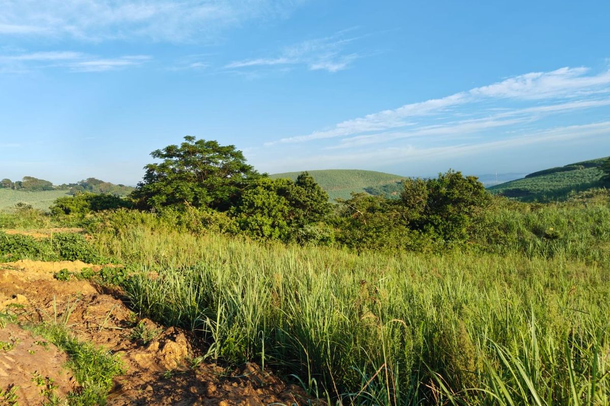 Seaton Estate: Exclusive Coastal Living on the KZN North Coast - Photo 3