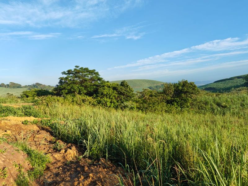 Seaton Estate: Exclusive Coastal Living on the KZN North Coast - Photo 3