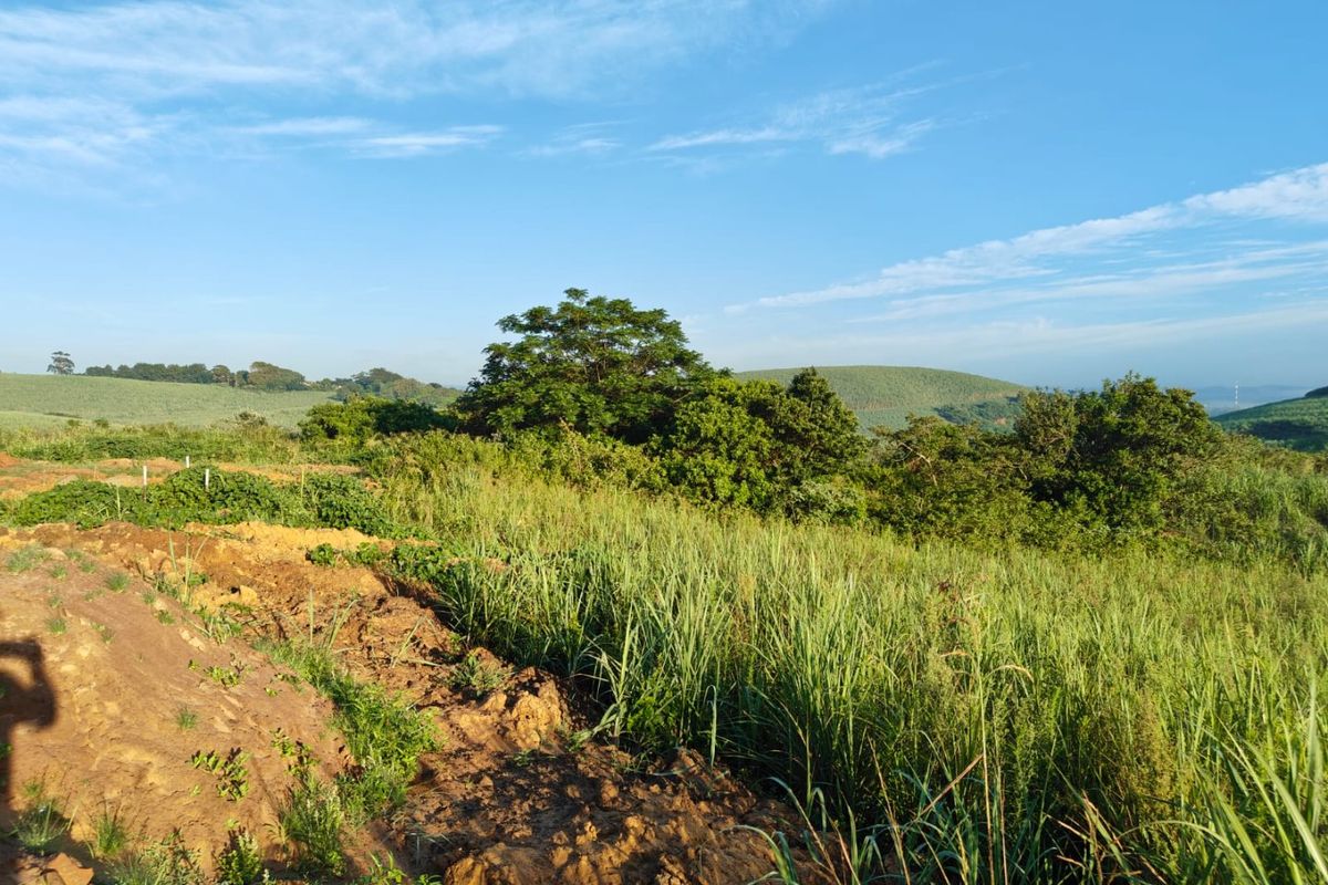 Seaton Estate: Exclusive Coastal Living on the KZN North Coast - Photo 2