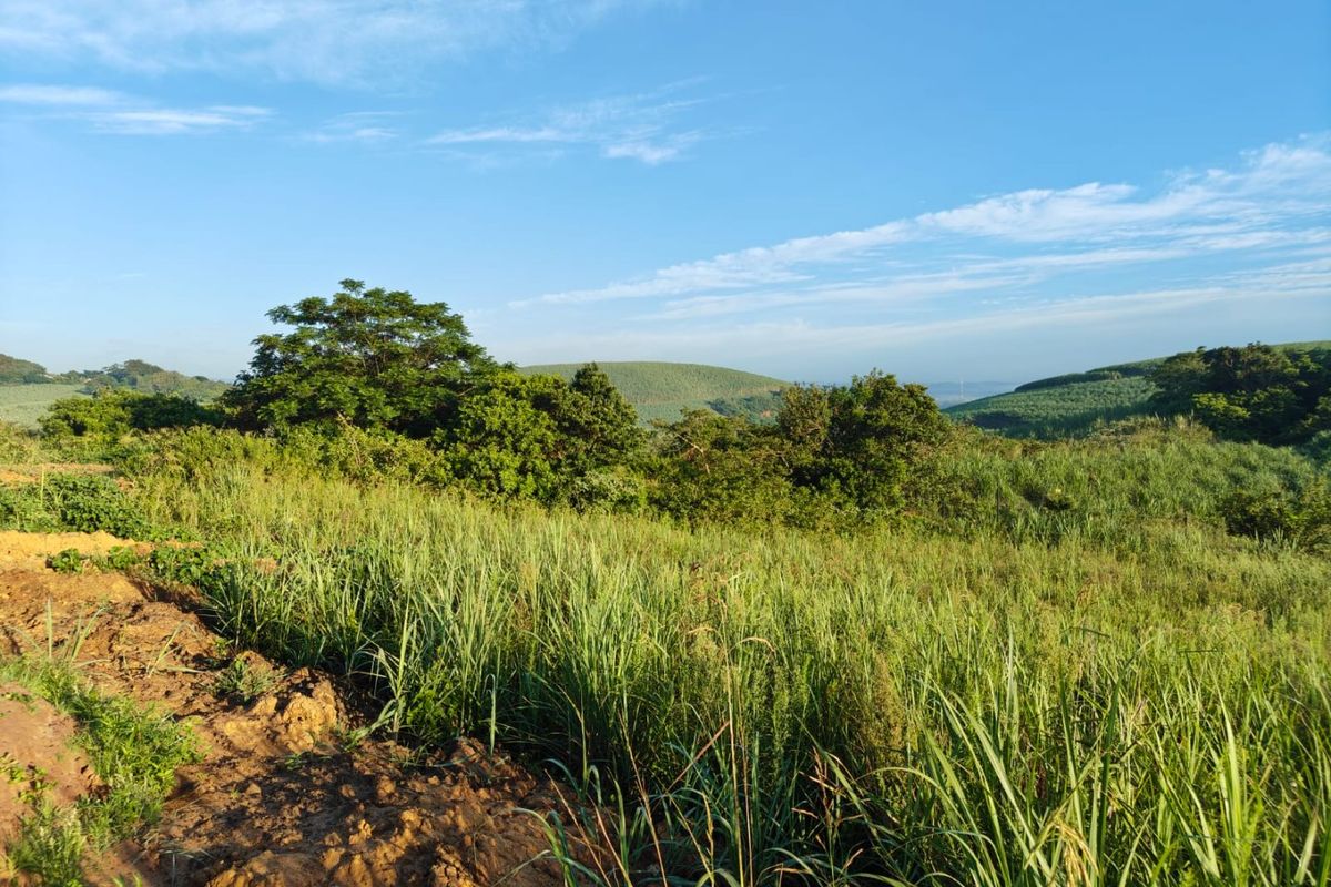 Seaton Estate: Exclusive Coastal Living on the KZN North Coast - Photo 4