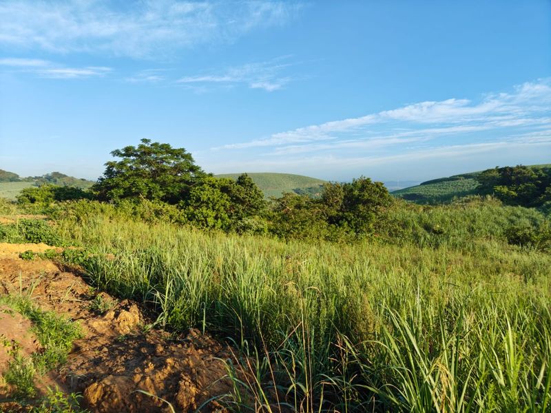 Seaton Estate: Exclusive Coastal Living on the KZN North Coast - Photo 4