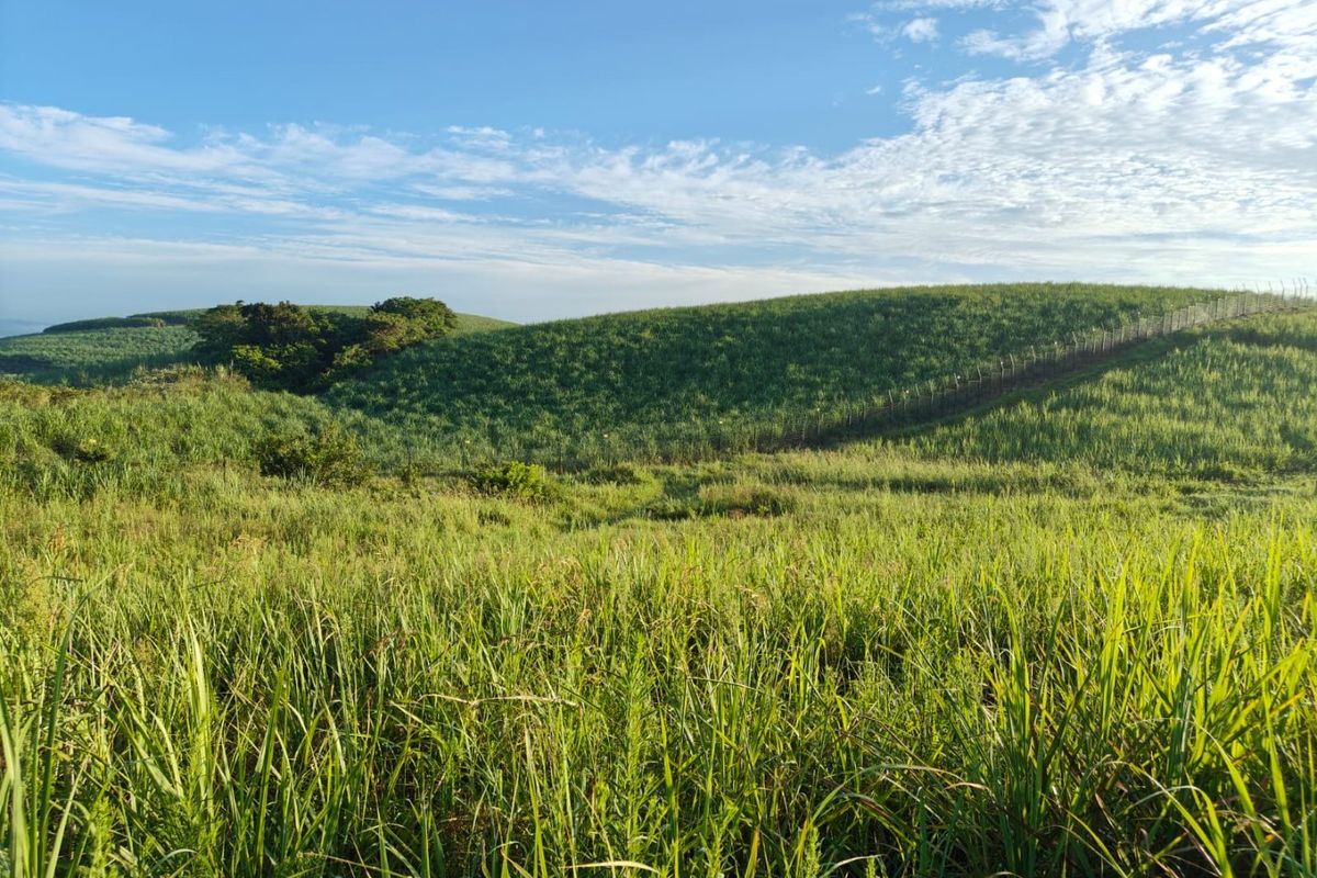 Seaton Estate: Exclusive Coastal Living on the KZN North Coast - Photo 4