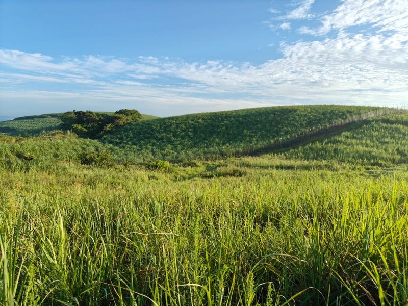 Seaton Estate: Exclusive Coastal Living on the KZN North Coast - Photo 4