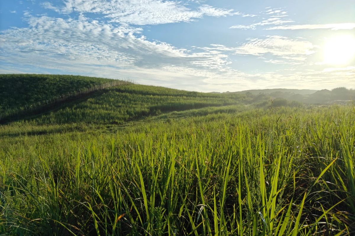 Seaton Estate: Exclusive Coastal Living on the KZN North Coast - Photo 5
