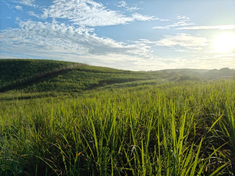 Seaton Estate: Exclusive Coastal Living on the KZN North Coast - Photo 5