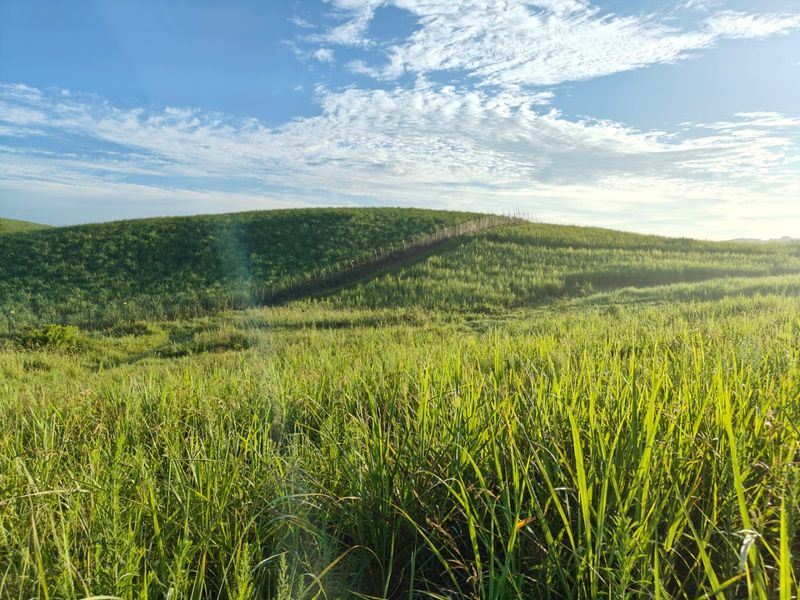 Seaton Estate: Exclusive Coastal Living on the KZN North Coast - Photo 3