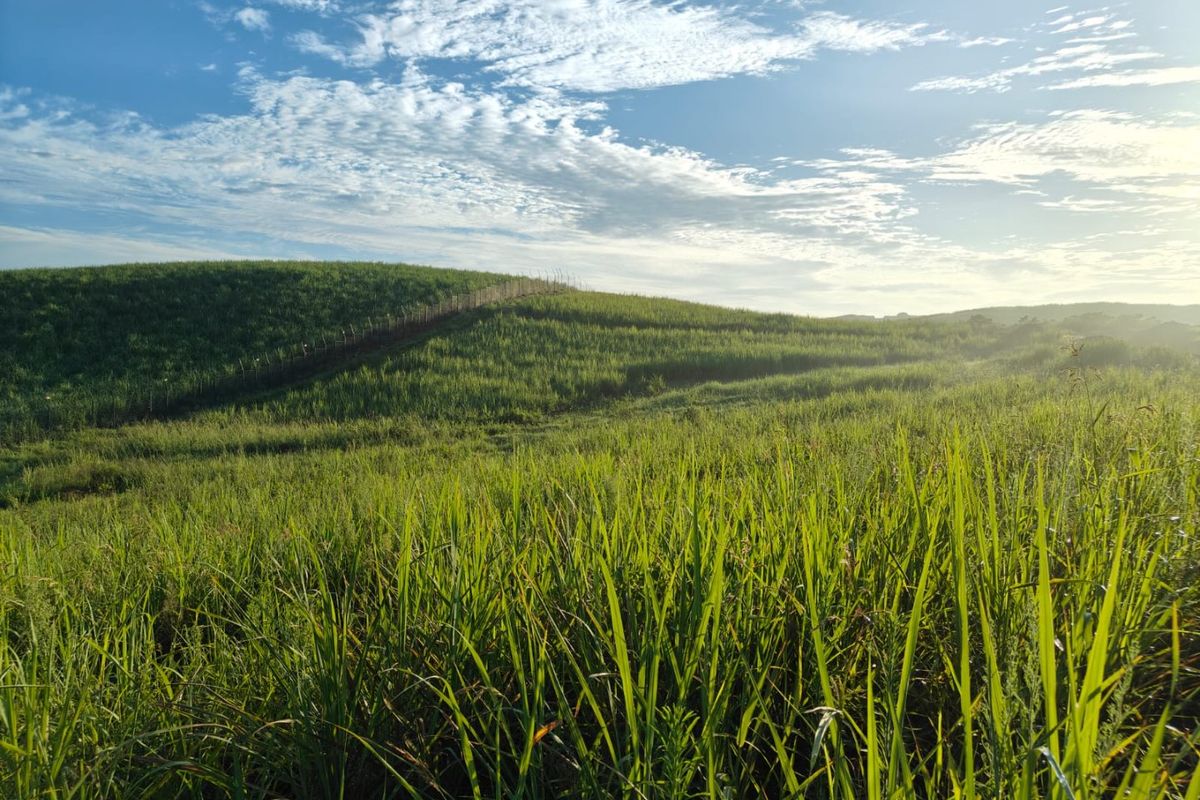 Seaton Estate: Exclusive Coastal Living on the KZN North Coast - Photo 2