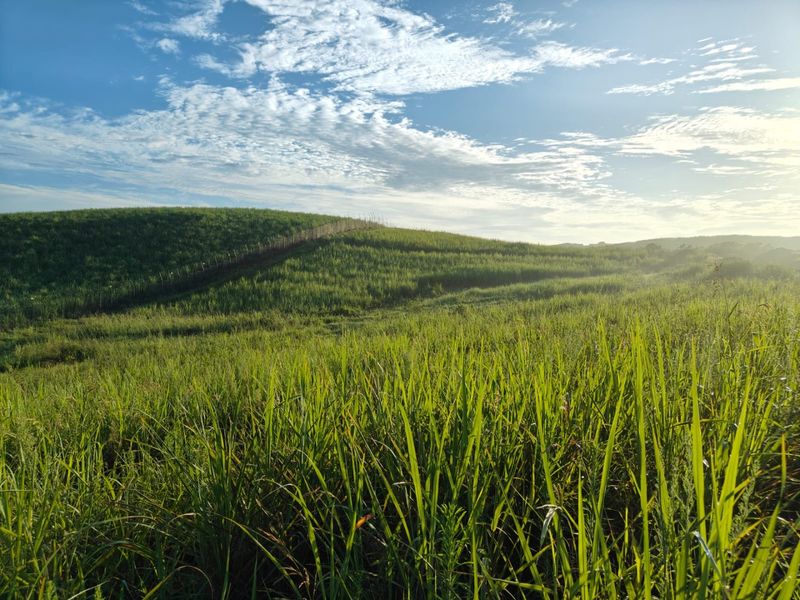 Seaton Estate: Exclusive Coastal Living on the KZN North Coast - Photo 2