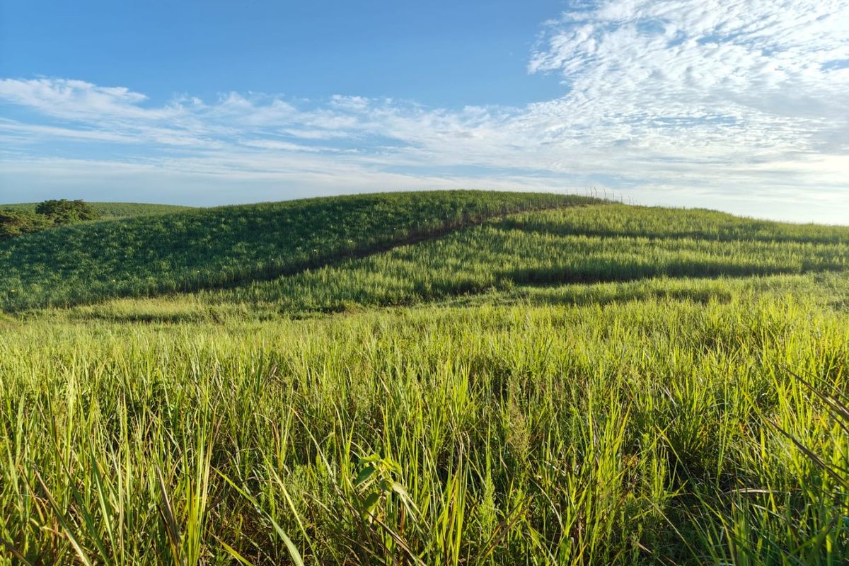 Seaton Estate: Exclusive Coastal Living on the KZN North Coast - Photo 2