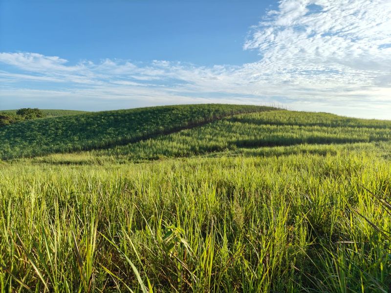 Seaton Estate: Exclusive Coastal Living on the KZN North Coast - Photo 2