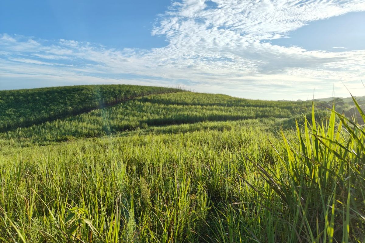 Seaton Estate: Exclusive Coastal Living on the KZN North Coast - Photo 3