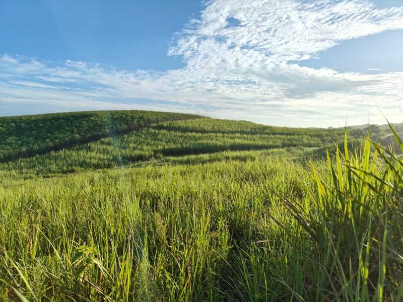 Seaton Estate: Exclusive Coastal Living on the KZN North Coast - Photo 3