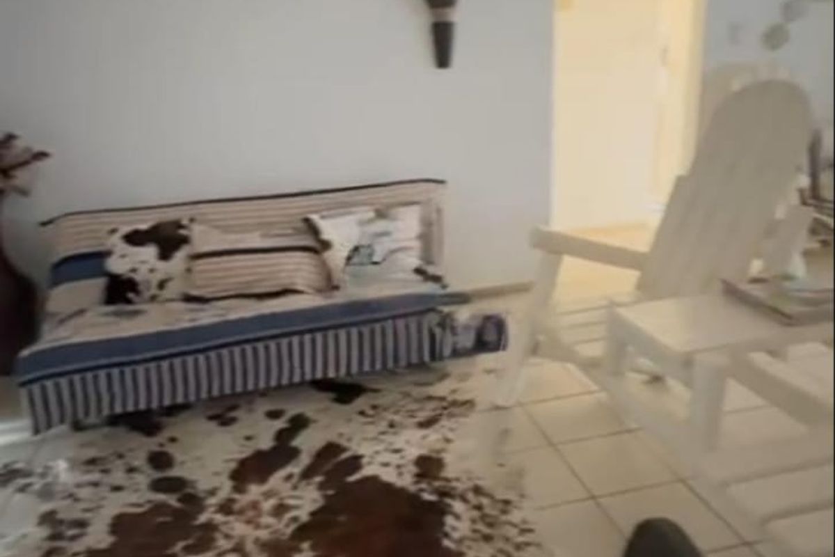 !HOLIDAY HOME awaits For You - Photo 4