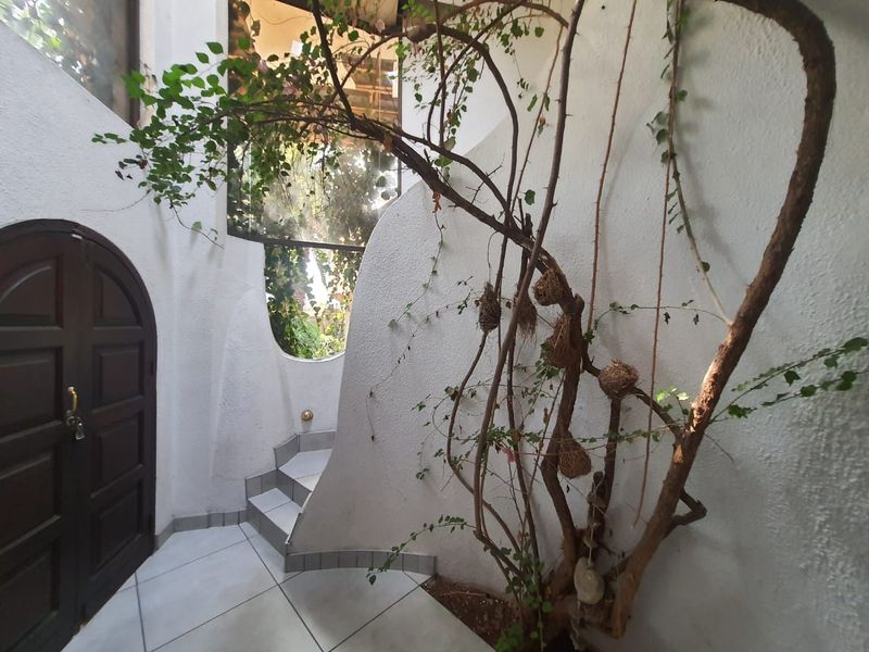 This Unbelievable VINTAGE GEM can be yours Today - Photo 3