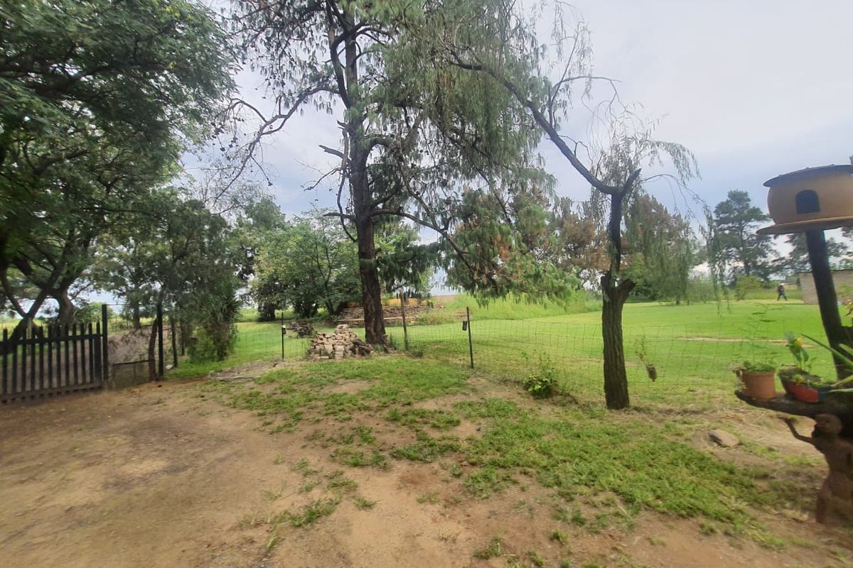 Beautiful 2.2 Hectares Plot In Mullerstuine - Photo 4