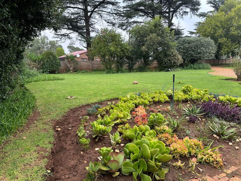 Smallholding For Sale In Vereeniging - Photo 4