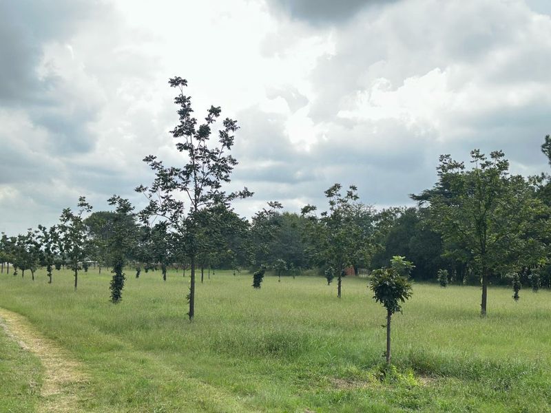 Smallholding For Sale In Vereeniging - Photo 5