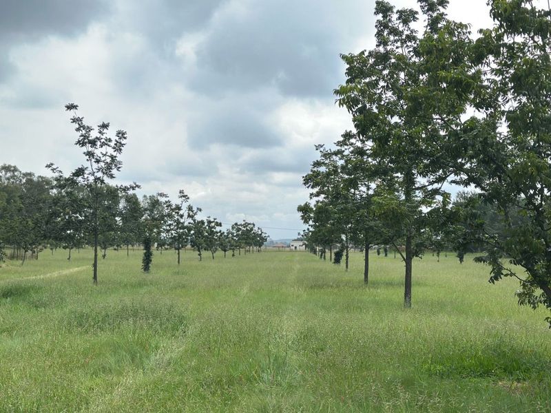 Smallholding For Sale In Vereeniging - Photo 9